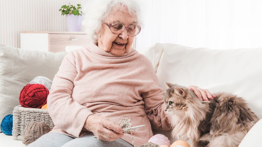 Senhora idosa sentada no sofá da sua sala a fazer crochet e na companhia do seu gato